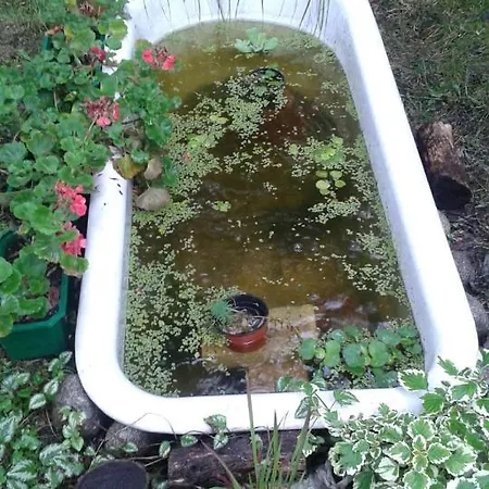 29 Avenue 公寓 克拉科夫