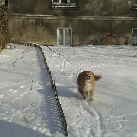 Appartement 29 Avenue *