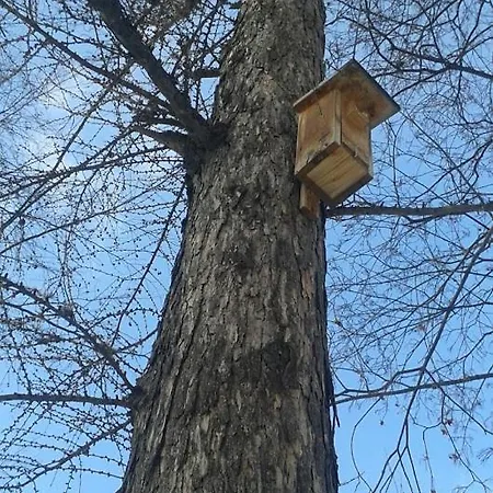 アパート 29 Avenue *