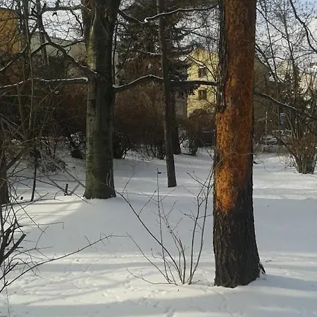 アパート 29 Avenue