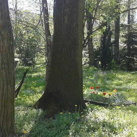 29 Avenue アパート クラクフ