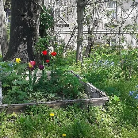 Appartement 29 Avenue *