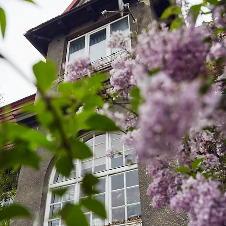 29 Avenue 克拉科夫