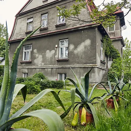 29 Avenue * クラクフ